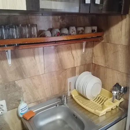 Casa De Vacanta 펜션 데포리노드