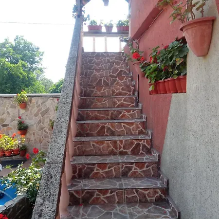 Casa De Vacanta Эфорие Норд